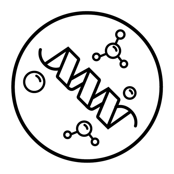Column 2 image