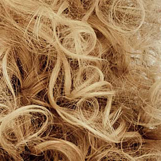 Curls Fine