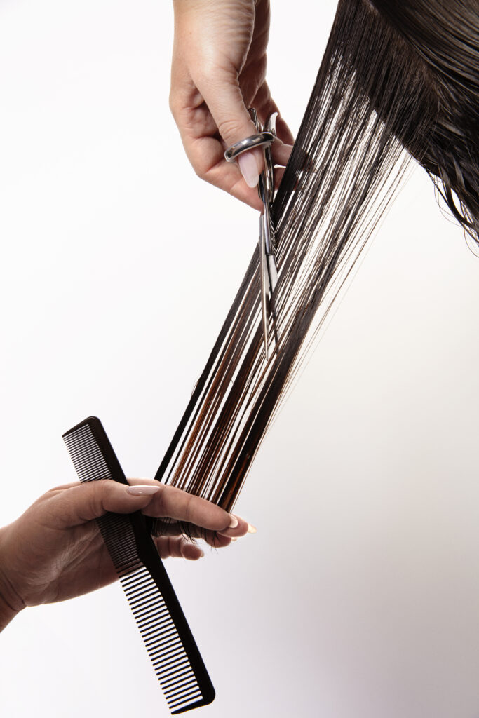 Academy Collection - MoroccanOil Course